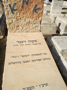 תמונת מצבה