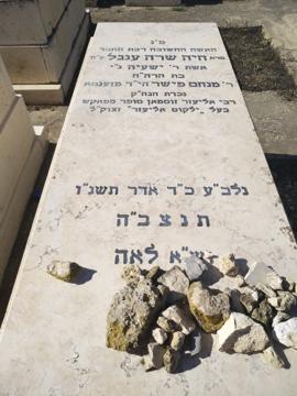 תמונת מצבה
