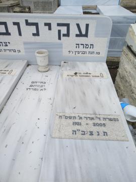 תמונת מצבה