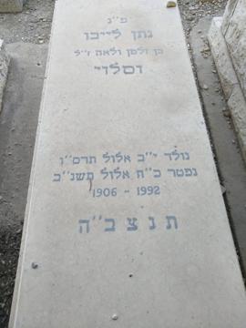 תמונת מצבה