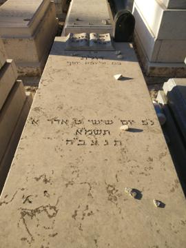 תמונת מצבה