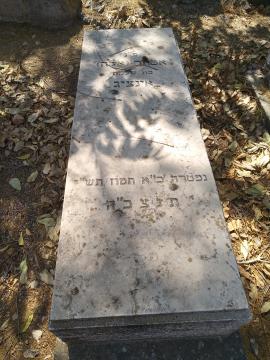 תמונת מצבה