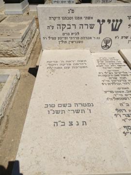 תמונת מצבה
