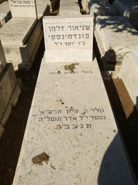 תמונת מצבה