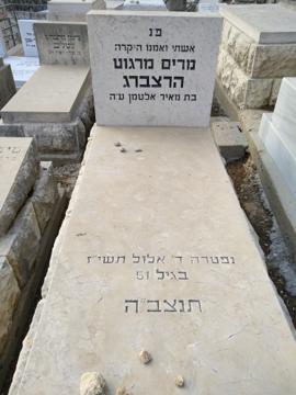 תמונת מצבה