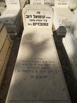 תמונת מצבה