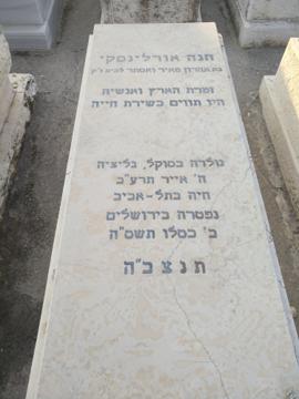 תמונת מצבה