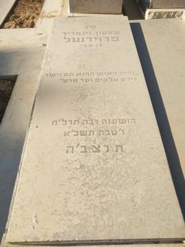 תמונת מצבה