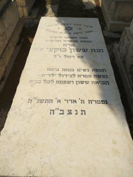 תמונת מצבה