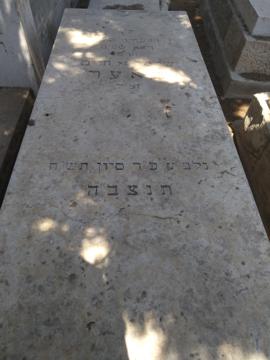 תמונת מצבה