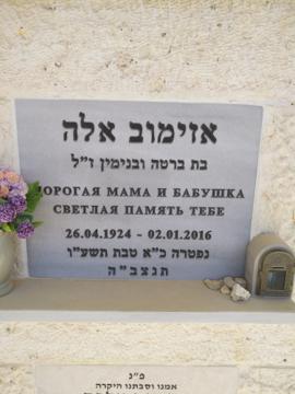 תמונת מצבה
