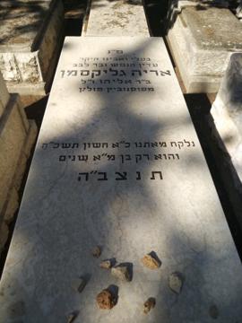 תמונת מצבה