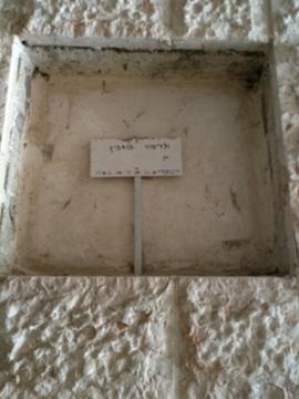תמונת מצבה
