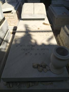 תמונת מצבה