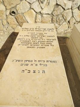 תמונת מצבה