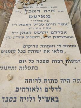 תמונת מצבה