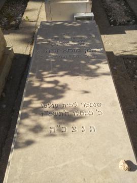 תמונת מצבה