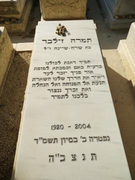 תמונת מצבה