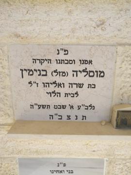 תמונת מצבה