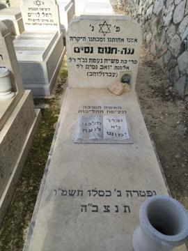 תמונת מצבה