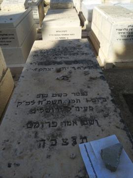 תמונת מצבה