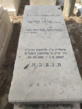 תמונת מצבה
