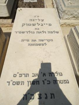 תמונת מצבה