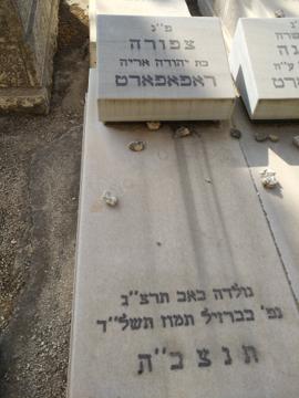 תמונת מצבה