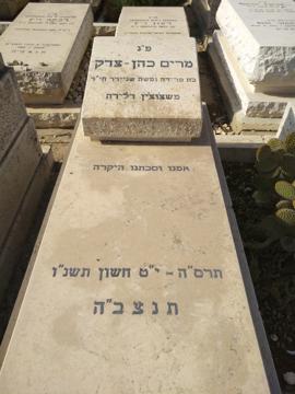 תמונת מצבה