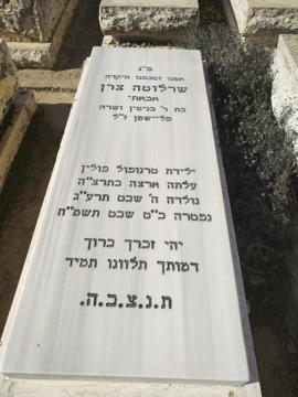 תמונת מצבה