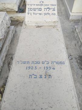 תמונת מצבה
