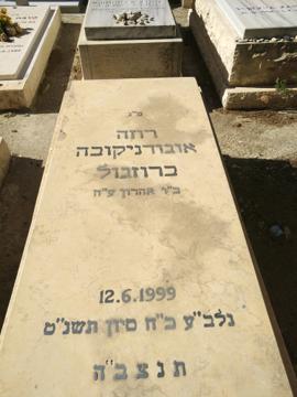 תמונת מצבה