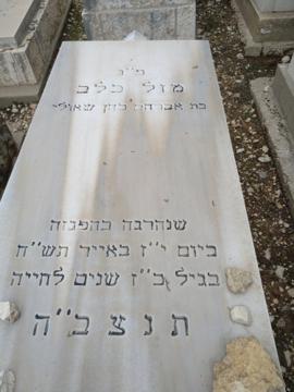 תמונת מצבה