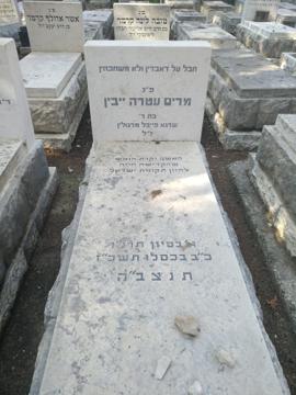 תמונת מצבה