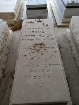 תמונת מצבה