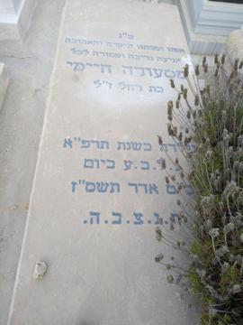 תמונת מצבה