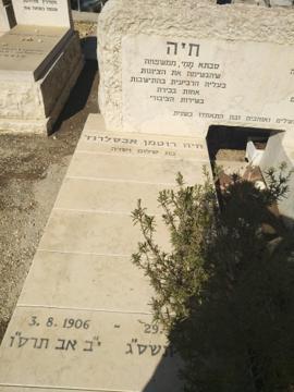 תמונת מצבה