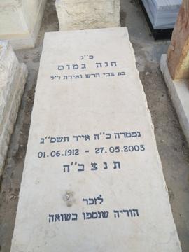 תמונת מצבה