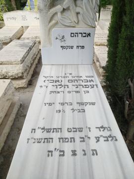 תמונת מצבה