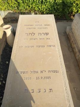 תמונת מצבה