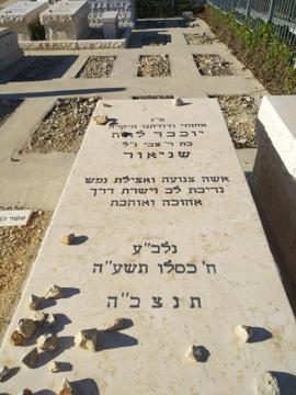 תמונת מצבה