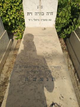 תמונת מצבה