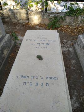 תמונת מצבה