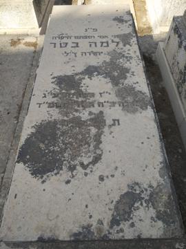 תמונת מצבה