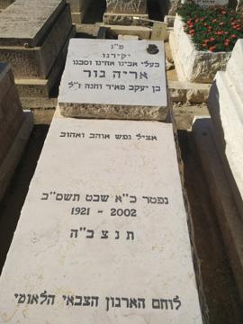 תמונת מצבה