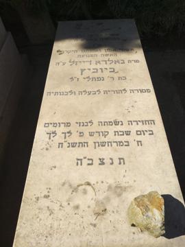 תמונת מצבה