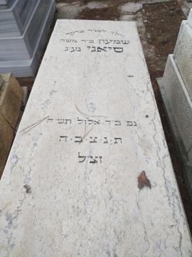 תמונת מצבה