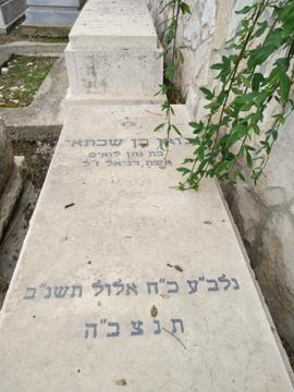 תמונת מצבה