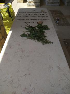 תמונת מצבה