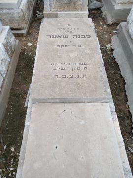 תמונת מצבה